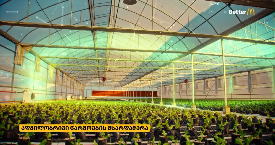 6 - McDonald's Georgia © 