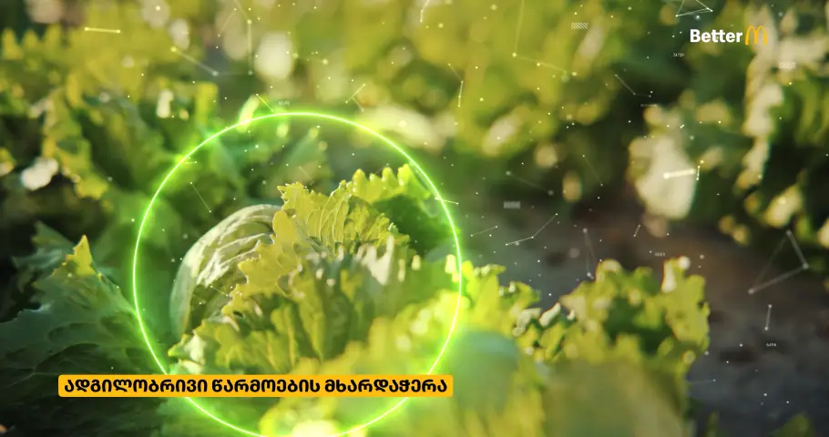 7 - McDonald's Georgia © 